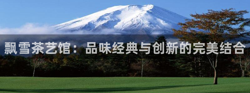 金立年会