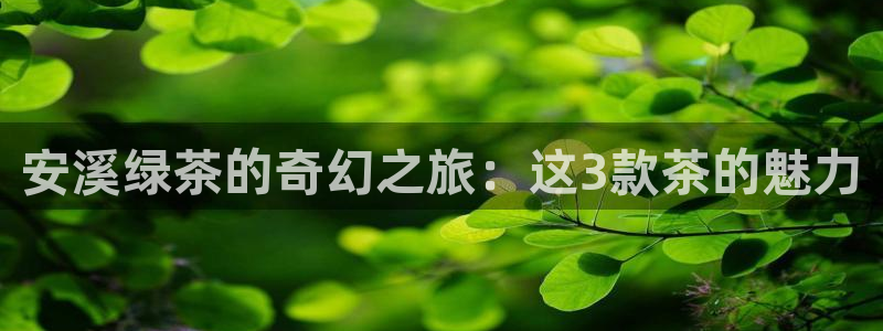 金年会赞助曼联