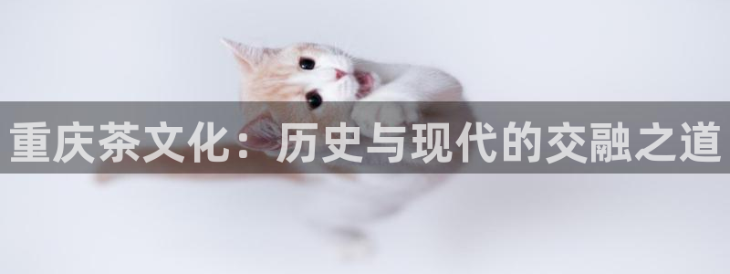 金年会18 28