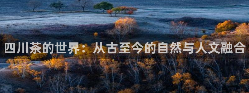 澳门与金年会的关系