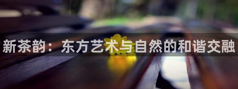 今年会送彩金28