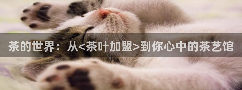 金诚集团年会