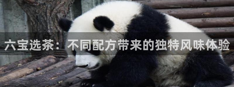金年会综合APP