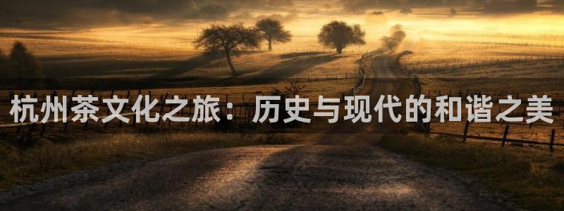 金年会嗨聊app下载