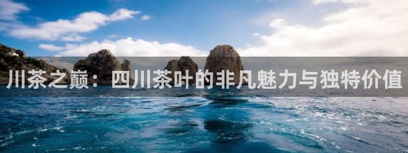 金年会彩票软件