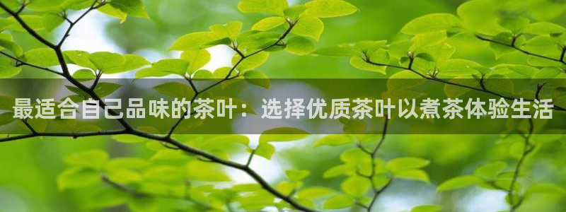 金诚集团年会
