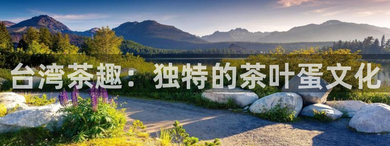 金年会国际