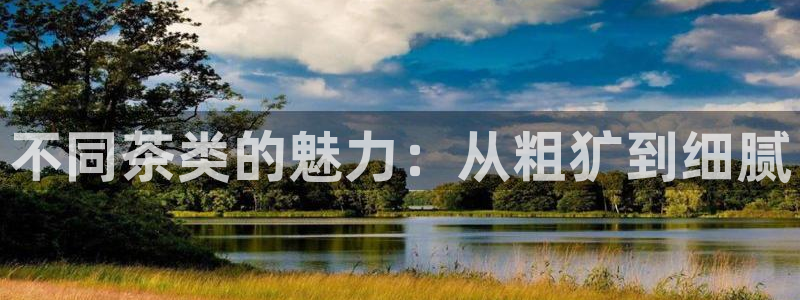 金诺利年会