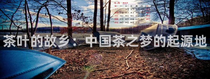 金金年会