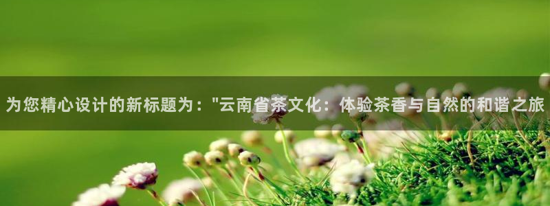 金立年会