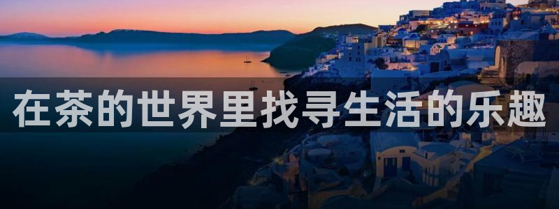 金年会体育app