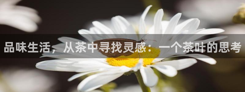 金年会手机app