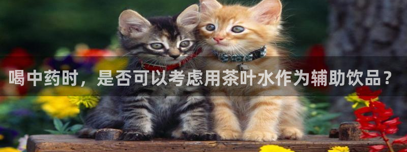 金年会体育下载