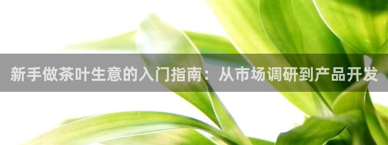 金年会国际