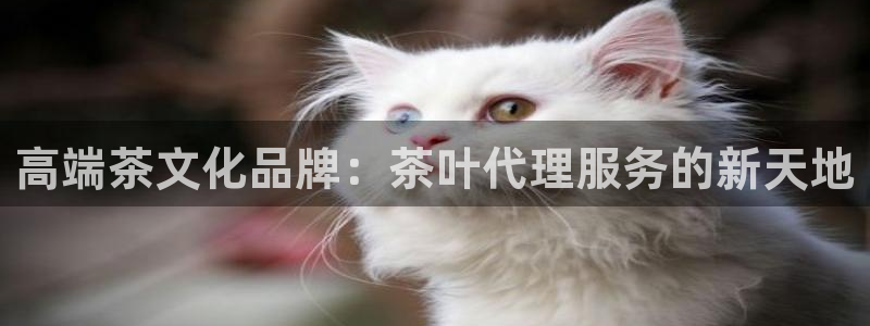金 金年会